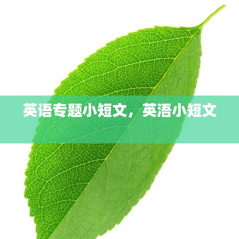 英語專題小短文，英浯小短文 