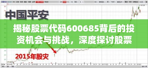 揭秘股票代碼600685背后的投資機會與挑戰(zhàn)，深度探討股票交流心得分享