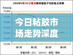 今日粘膠市場走勢深度解析，最新行情報告