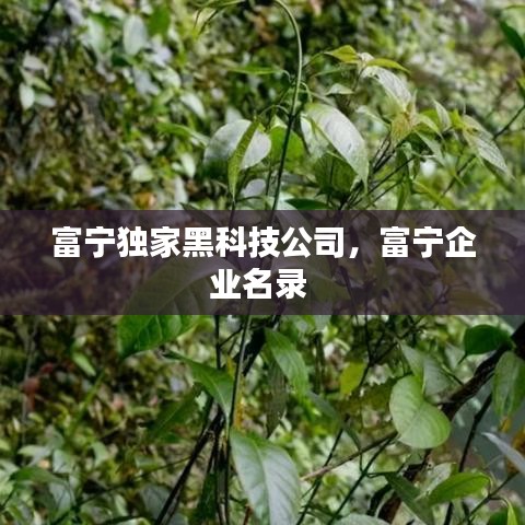 富寧獨(dú)家黑科技公司，富寧企業(yè)名錄 