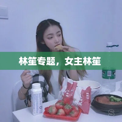 林笙專題，女主林笙 