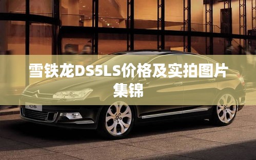 雪鐵龍DS5LS價(jià)格及實(shí)拍圖片集錦