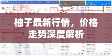 柚子最新行情，價(jià)格走勢(shì)深度解析