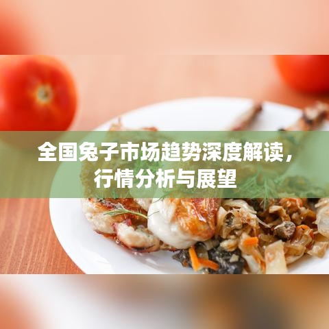 全國(guó)兔子市場(chǎng)趨勢(shì)深度解讀，行情分析與展望