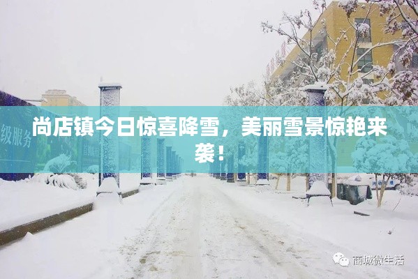 尚店鎮(zhèn)今日驚喜降雪，美麗雪景驚艷來襲！