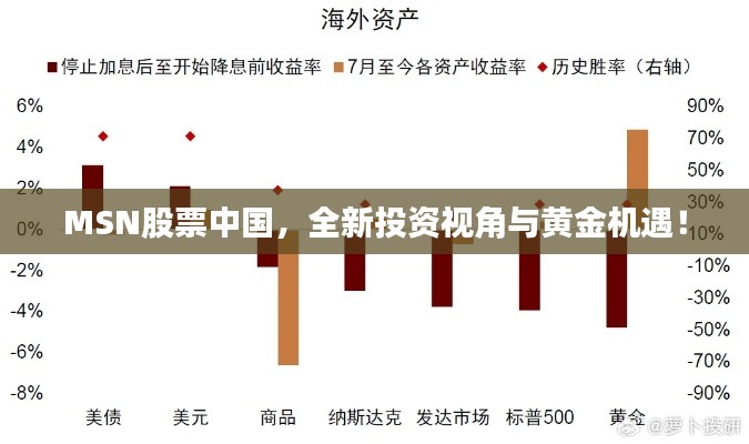 MSN股票中國，全新投資視角與黃金機(jī)遇！