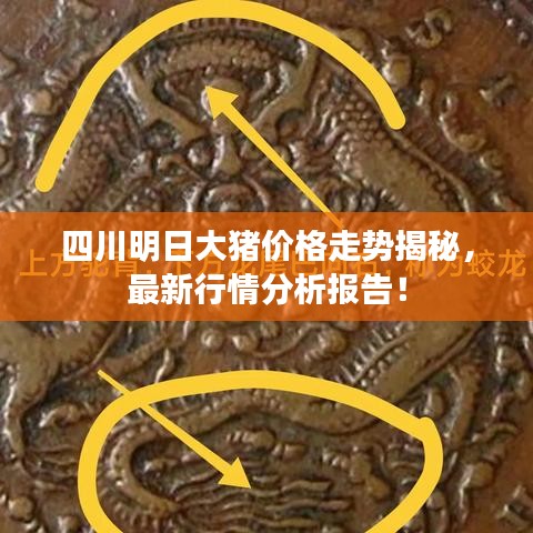 四川明日大豬價格走勢揭秘，最新行情分析報(bào)告！