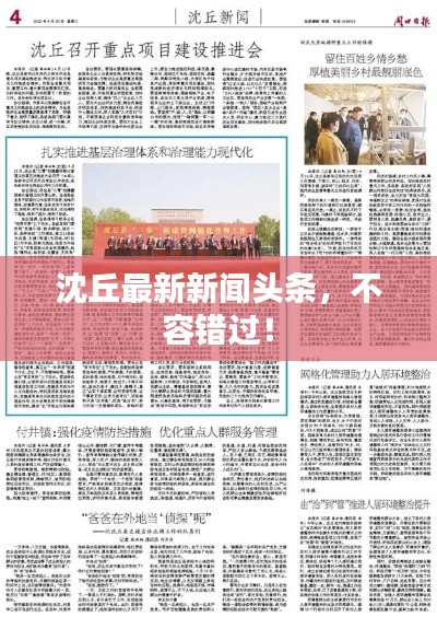 沈丘最新新聞頭條，不容錯過！