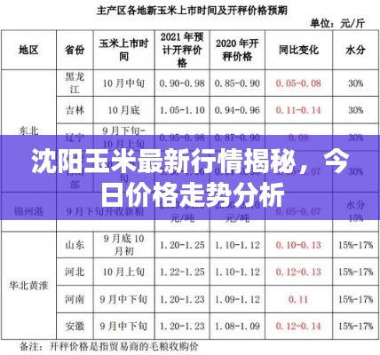 沈陽(yáng)玉米最新行情揭秘，今日價(jià)格走勢(shì)分析