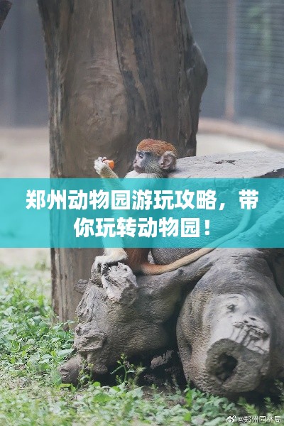 鄭州動物園游玩攻略，帶你玩轉(zhuǎn)動物園！