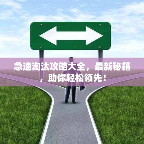 急速淘汰攻略大全，最新秘籍，助你輕松領(lǐng)先！