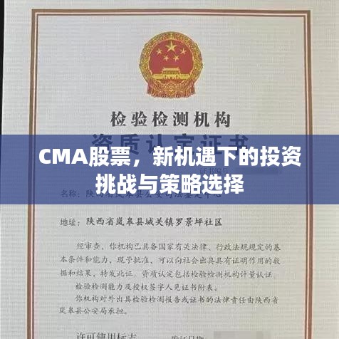 CMA股票，新機遇下的投資挑戰(zhàn)與策略選擇