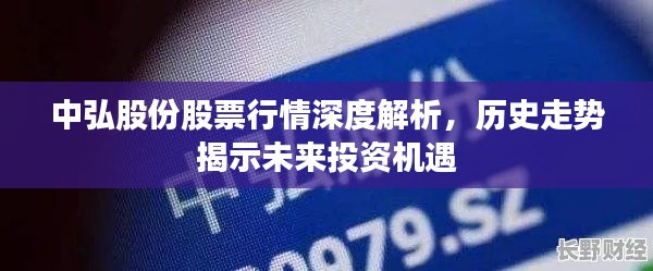 中弘股份股票行情深度解析，歷史走勢揭示未來投資機遇