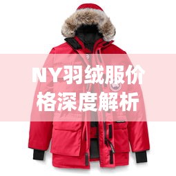 NY羽絨服價格深度解析，了解真實價格，選購更明智！