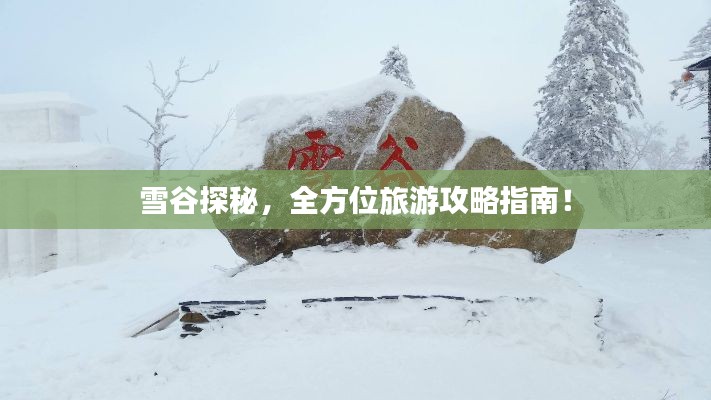 雪谷探秘，全方位旅游攻略指南！