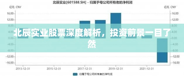 北辰實(shí)業(yè)股票深度解析，投資前景一目了然