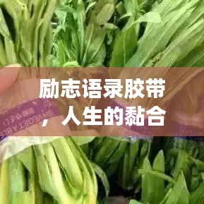 勵(lì)志語(yǔ)錄膠帶，人生的黏合劑，引領(lǐng)你走向成功之路