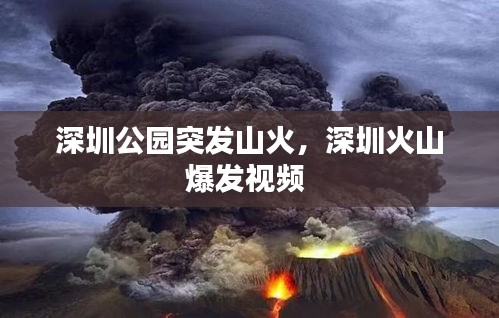 深圳公園突發(fā)山火，深圳火山爆發(fā)視頻 