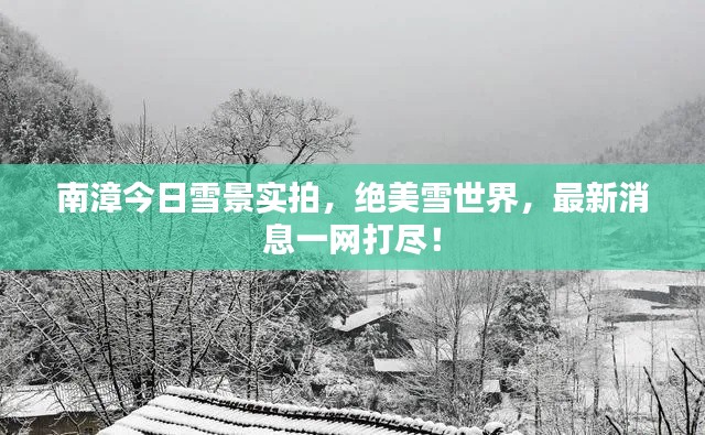 南漳今日雪景實拍，絕美雪世界，最新消息一網(wǎng)打盡！