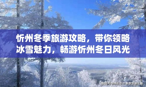 忻州冬季旅游攻略，帶你領(lǐng)略冰雪魅力，暢游忻州冬日風(fēng)光！