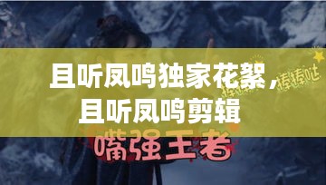 且聽(tīng)鳳鳴獨(dú)家花絮，且聽(tīng)鳳鳴剪輯 