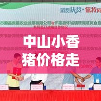 中山小香豬價(jià)格走勢(shì)大揭秘，最新行情分析！