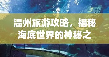 溫州旅游攻略，揭秘海底世界的神秘之旅