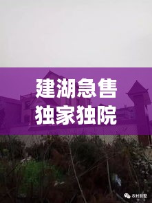 建湖急售獨家獨院，建湖哪里有30到40萬的房子 