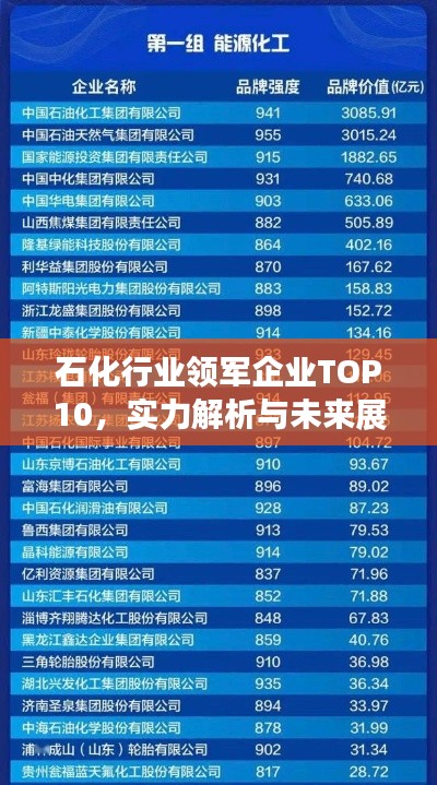 石化行業(yè)領(lǐng)軍企業(yè)TOP10，實力解析與未來展望