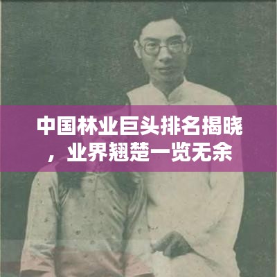 中國林業(yè)巨頭排名揭曉，業(yè)界翹楚一覽無余