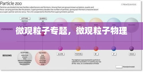 微觀粒子專題，微觀粒子物理 