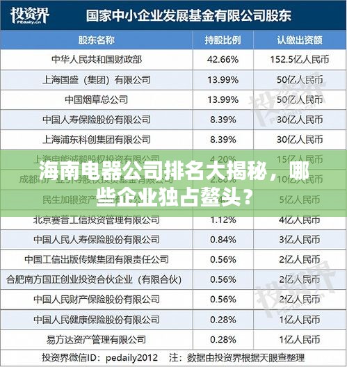 海南電器公司排名大揭秘，哪些企業(yè)獨(dú)占鰲頭？