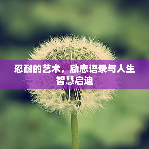 忍耐的藝術(shù)，勵(lì)志語(yǔ)錄與人生智慧啟迪