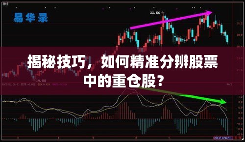 揭秘技巧，如何精準(zhǔn)分辨股票中的重倉股？