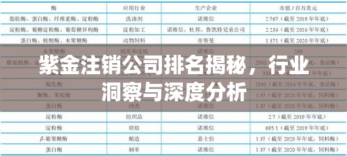 紫金注銷公司排名揭秘，行業(yè)洞察與深度分析