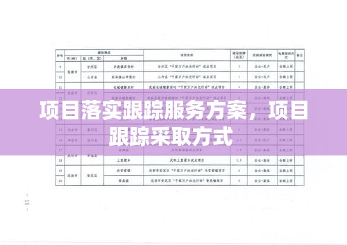 項目落實跟蹤服務方案，項目跟蹤采取方式 