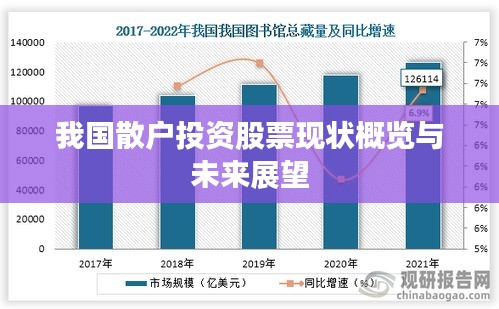 我國散戶投資股票現(xiàn)狀概覽與未來展望