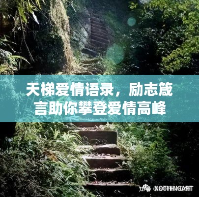 天梯愛(ài)情語(yǔ)錄，勵(lì)志箴言助你攀登愛(ài)情高峰