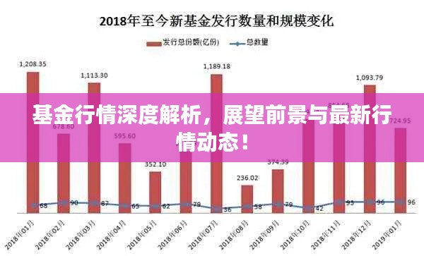 基金行情深度解析，展望前景與最新行情動態(tài)！