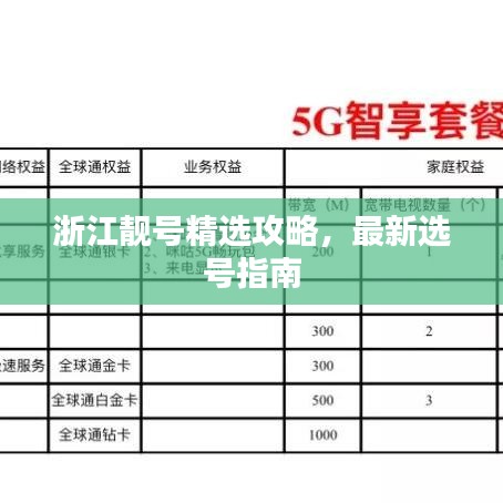 浙江靚號精選攻略，最新選號指南