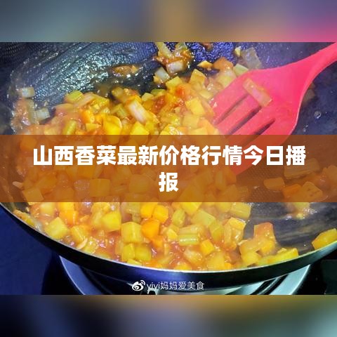 山西香菜最新價格行情今日播報