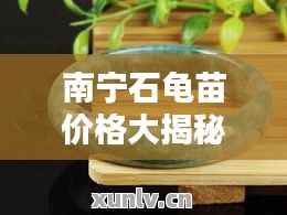 南寧石龜苗價格大揭秘，最新行情分析！