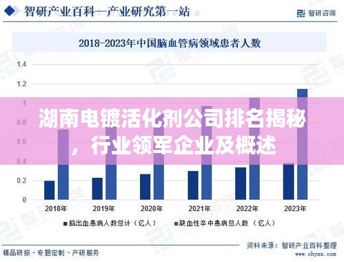 湖南電鍍活化劑公司排名揭秘，行業(yè)領(lǐng)軍企業(yè)及概述