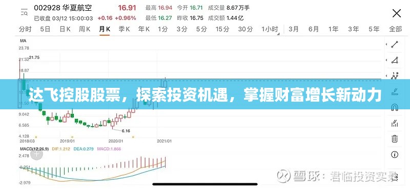 達(dá)飛控股股票，探索投資機(jī)遇，掌握財(cái)富增長(zhǎng)新動(dòng)力