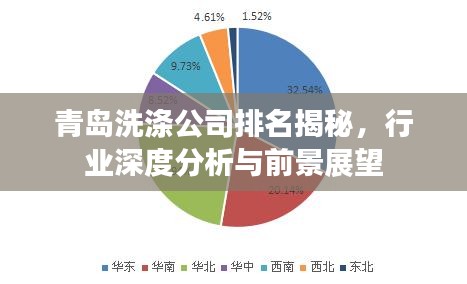 青島洗滌公司排名揭秘，行業(yè)深度分析與前景展望