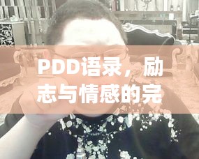 PDD語錄，勵(lì)志與情感的完美交融之道