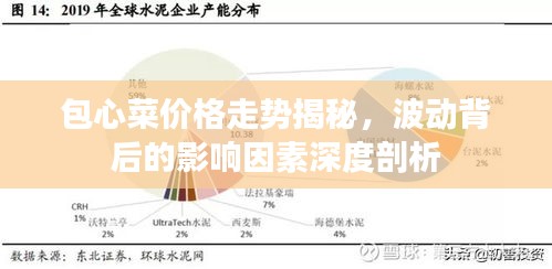 包心菜價格走勢揭秘，波動背后的影響因素深度剖析