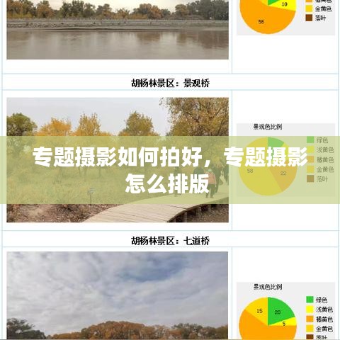 專題攝影如何拍好，專題攝影怎么排版 