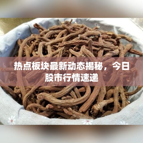 熱點(diǎn)板塊最新動(dòng)態(tài)揭秘，今日股市行情速遞