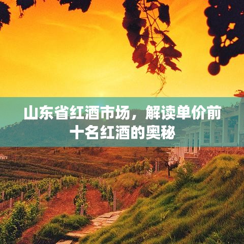 山東省紅酒市場，解讀單價(jià)前十名紅酒的奧秘